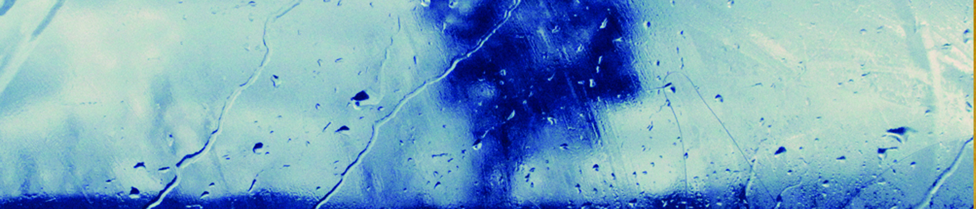 Banner 2